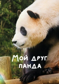 Мой друг панда (2024)